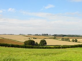 Farmers urged to complete annual environmental land management survey