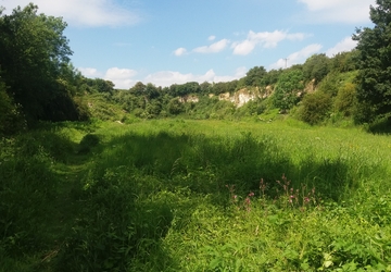 Job Vacancy - Nature Partnership Officer